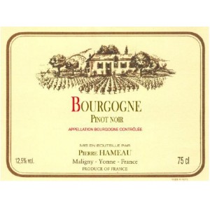 Bourgogne Pinot Noir - Pierre Hameau - 2010