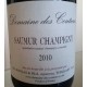 Saumur Champigny - Domaine de Coutures - 2010